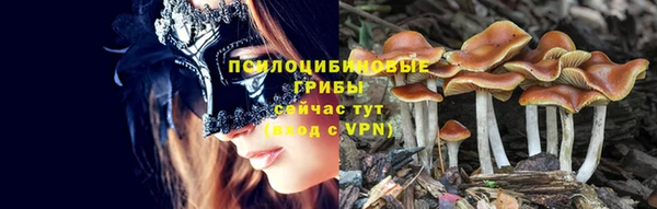 бутират Россошь