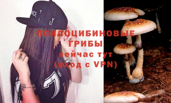 бутират Россошь