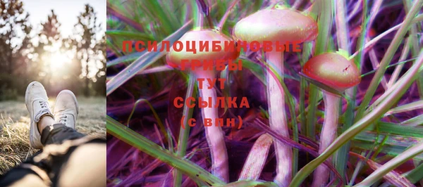бутират Россошь