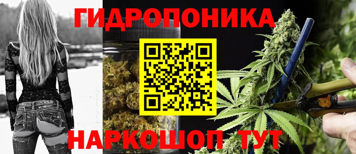 Конопля SATIVA & INDICA  Шишки марихуана семена  Каннабис индика  Конопля VHQ  Вход с VPN  Сертолово 